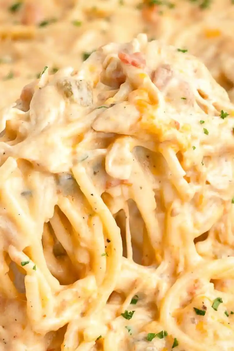 Chicken Spaghetti with Rotel 3 Recipe image