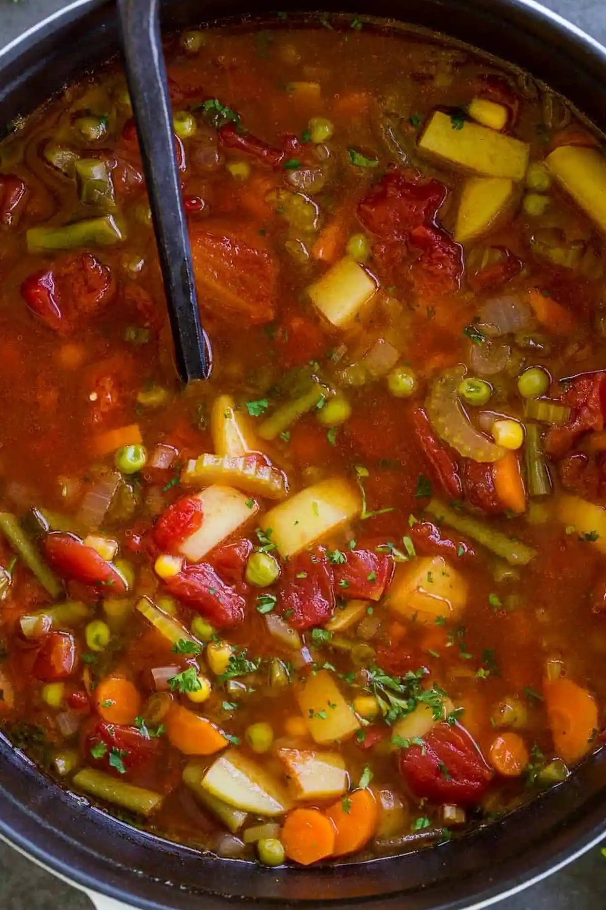 Hearty Homemade Vegetable Soup 3 Recipe image