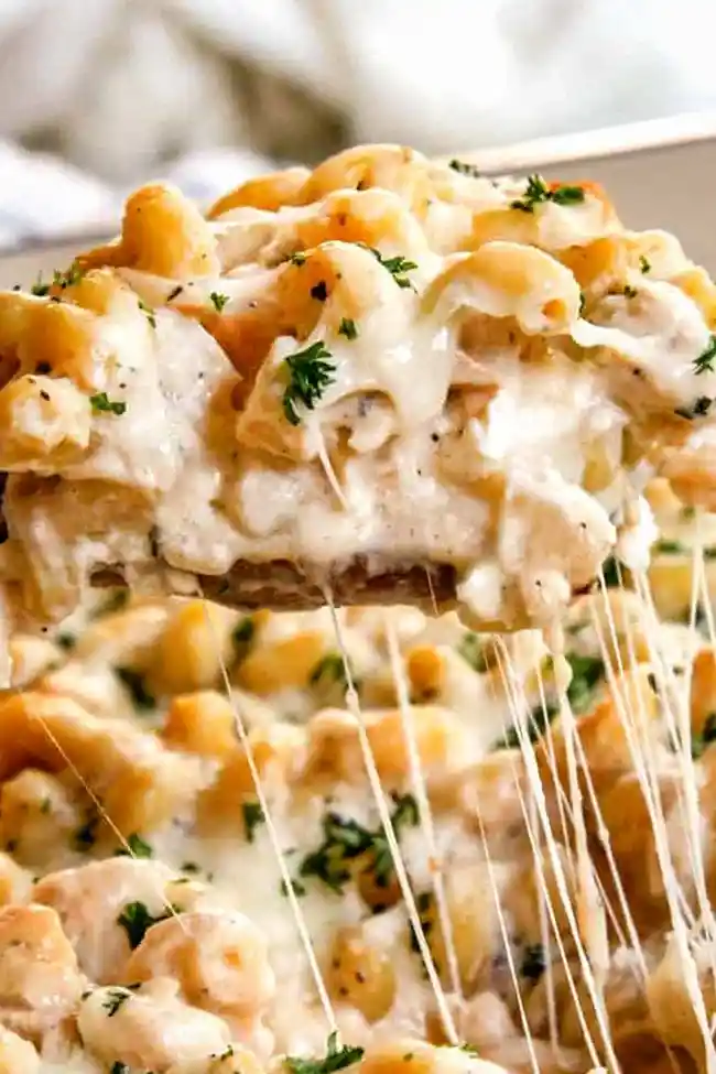 Creamy Million Dollar Chicken Alfredo Bake 3 Recipe image